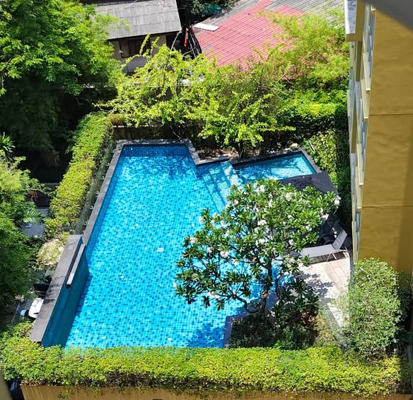 pool of Hive Sukhumvit 65