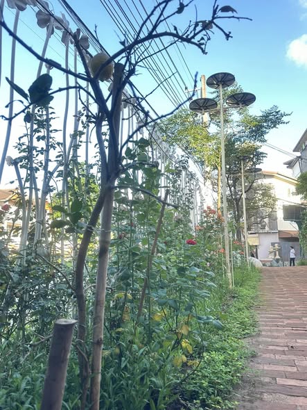 บ้านสวย รัตนาธิเบศร์ อพาร์ตเมนต์