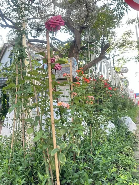 บ้านสวย รัตนาธิเบศร์ อพาร์ตเมนต์
