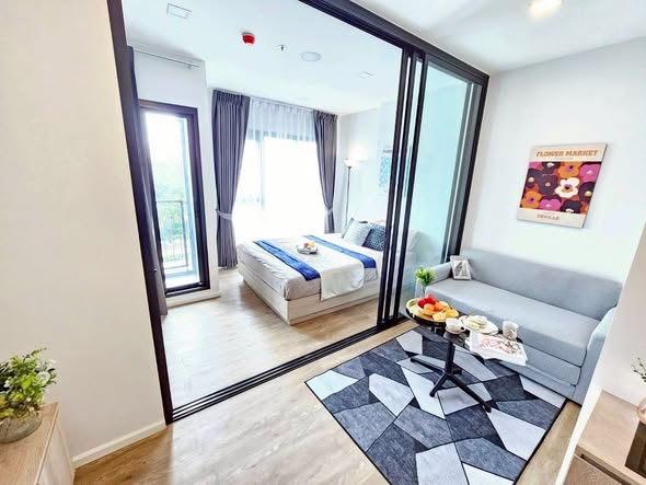 bedroom and living room and room interior of Modiz Sukhumvit 50 โมดิซ สุขุมวิท 50