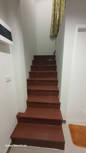 Single’s House​ บ้านคนโสด