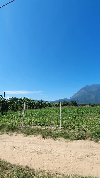 TH Land