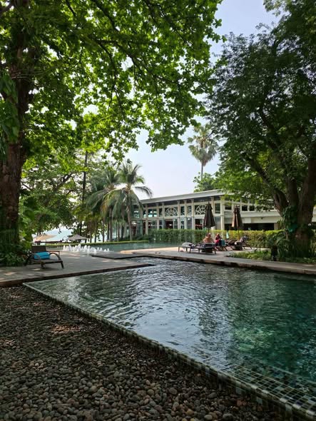 pool of Zire Wongamat