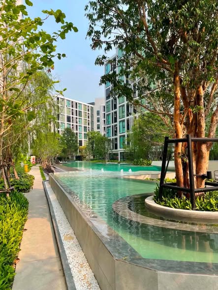 pool of Atmoz Oasis Onnut