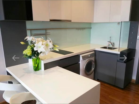 kitchen of Ivy Ampio