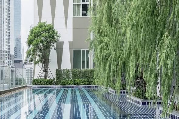 pool of Noble Revolve Ratchada 1