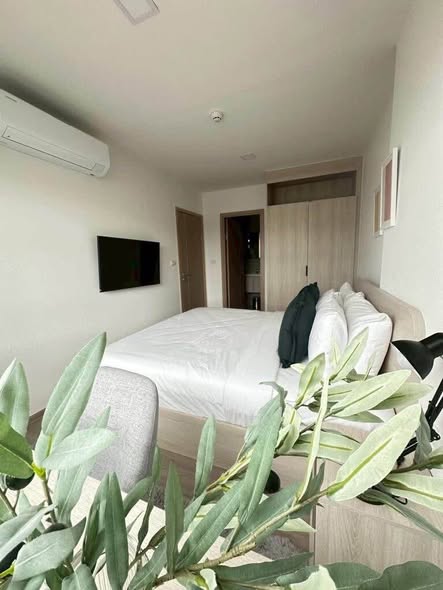 bedroom of The Base Bukit Phuket เดอะ เบส บูกิต ภูเก็ต