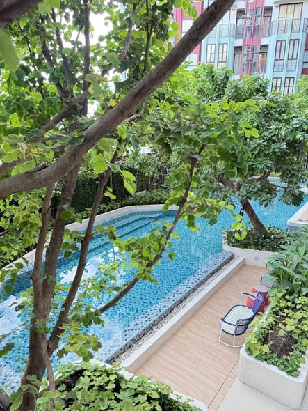 pool of The Base Bukit Phuket เดอะ เบส บูกิต ภูเก็ต