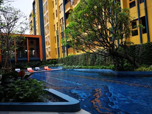 pool of THE BASE Sukhumvit 50
