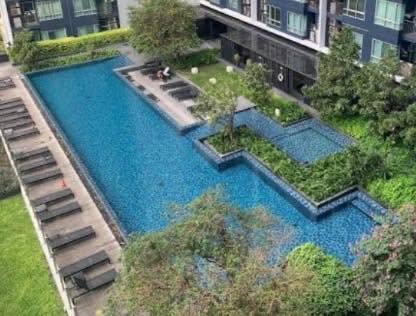 pool of THE BASE Sukhumvit 77