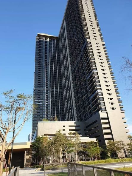 The Politan Rive
