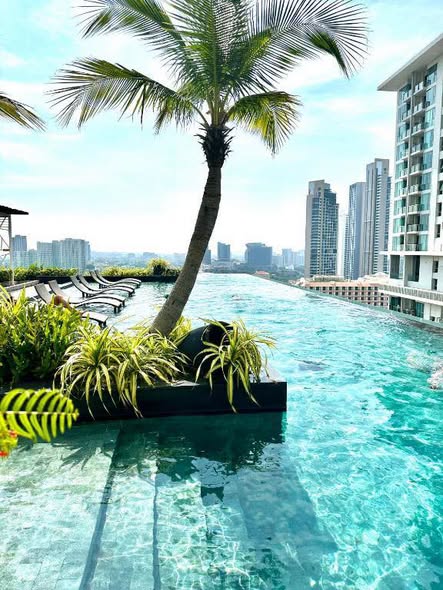pool of The Riviera Wongamat Beach : เดอะ ริเวียร่า วงศ์อมาตย์ บีช