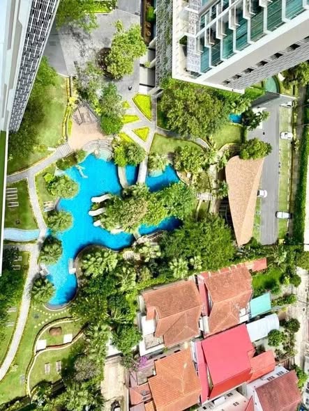 pool of The Riviera Wongamat Beach : เดอะ ริเวียร่า วงศ์อมาตย์ บีช