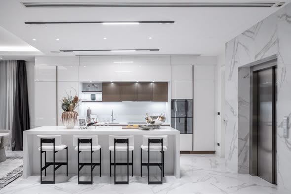 kitchen of Ultra luxury Condo