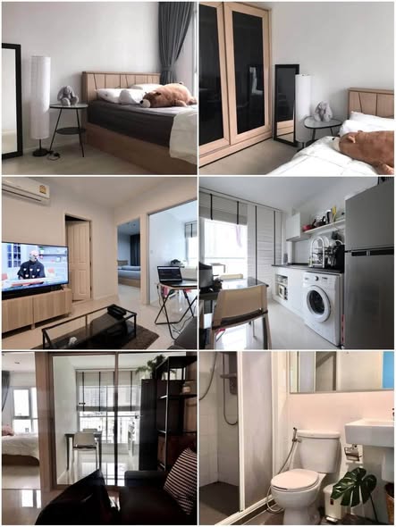 bedroom and room interior of Aspire Rama 9