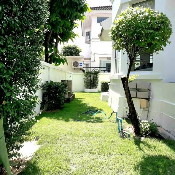 Ban Suai Alley