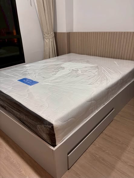 bedroom of Brixton Sukhumvit 107 : บรอมตัน เพ็ท เฟรนด์ลี่ สุขุมวิท 107