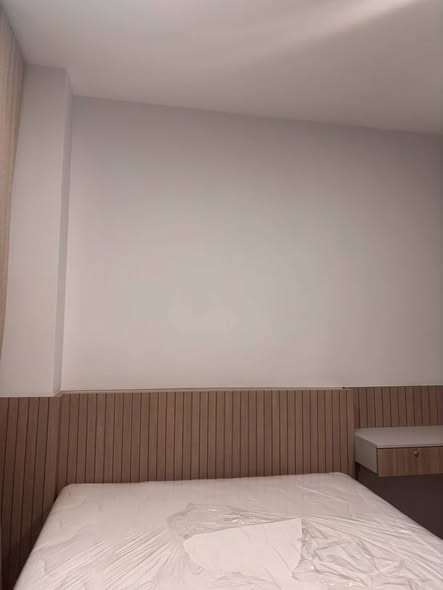 bedroom of Brixton Sukhumvit 107 : บรอมตัน เพ็ท เฟรนด์ลี่ สุขุมวิท 107