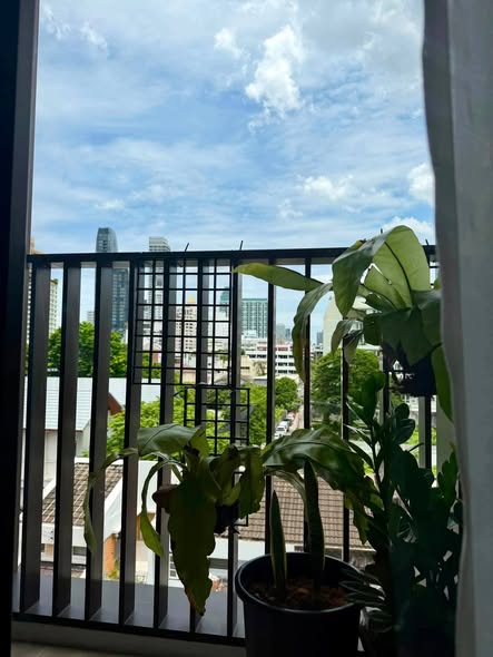 CHAPTER THONGLOR 25