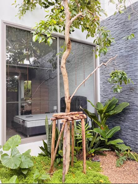 D-50 private apartment