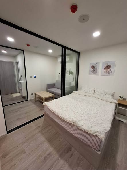 bedroom and room interior of KAVE Seed Kaset | เคฟ ซี้ด เกษตร