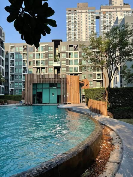 pool of ลิฟวิ่งเนสท์รามคำแหง -Livingnest Ramkhamhaeng
