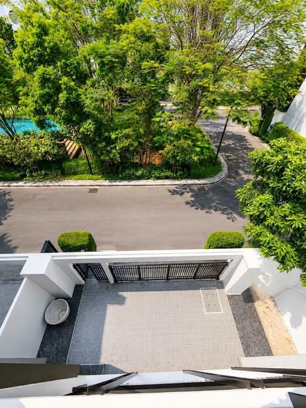Noble Curve (โนเบิล เคิร์ฟ)