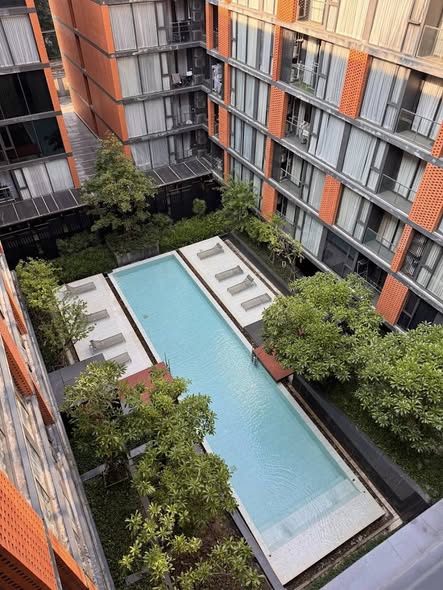 pool of Quintara Treehaus Sukhumvit 42