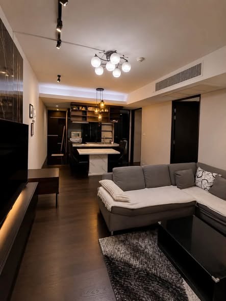 living room of Siamese Gioia