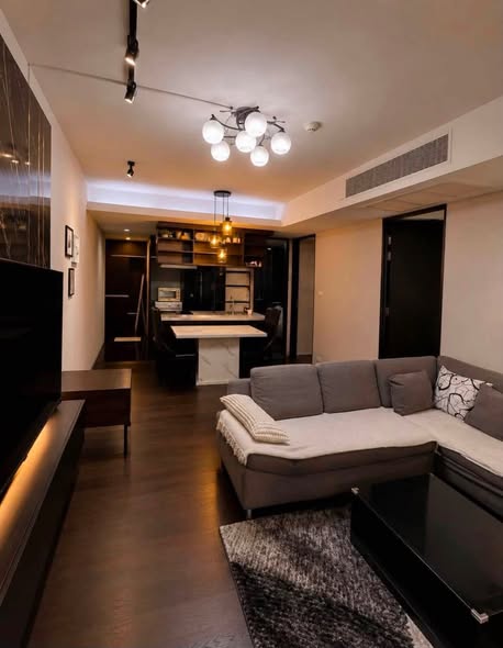 living room of Siamese Gioia