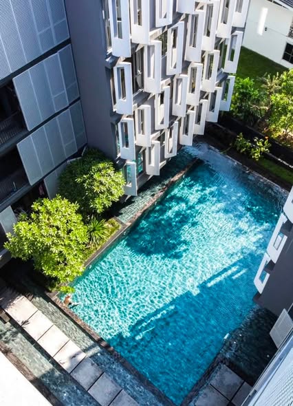 pool of Siamese Gioia