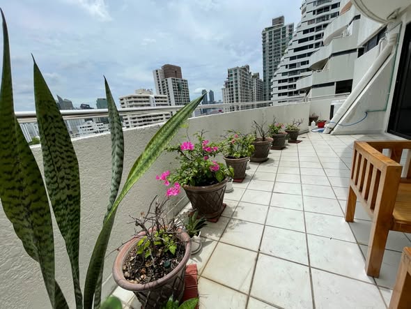 Supalai Place Condominium Sukhumvit 39