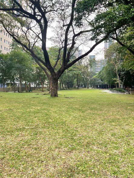 THE LINE Phahonyothin Park