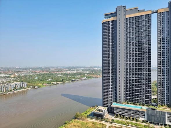 The Politan Rive