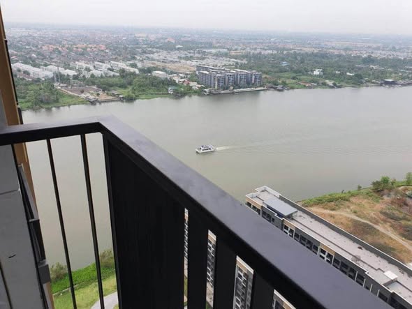 The Politan Rive