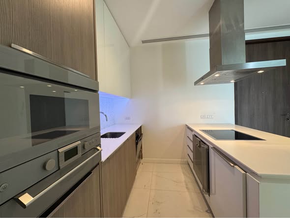 kitchen of 185 Rajadamri