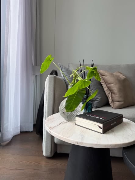 living room and room interior of AESTIQ Thonglor