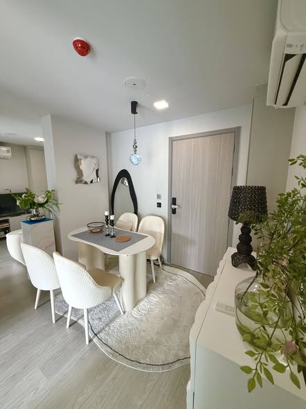 Atmoz Oasis Onnut