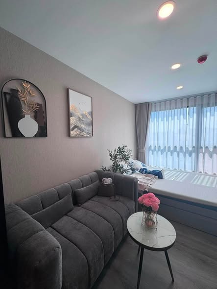 living room of Brixton Pet&Play Phahol 50 Station