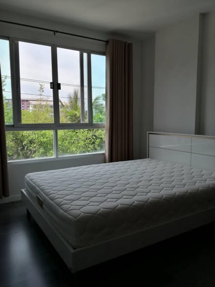 bedroom of ดีคอนโด แคมปัส รีสอร์ท บางนา : dcondo Campus Resort Bangna