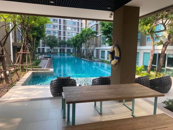 pool of dcondo Campus Resort Rangsit