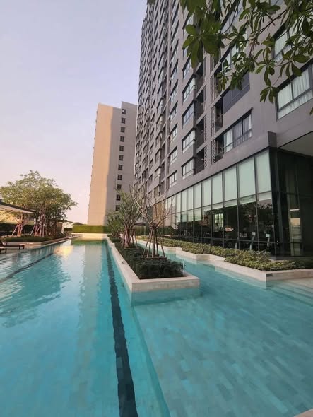 pool of Ideo Sukhumvit 93