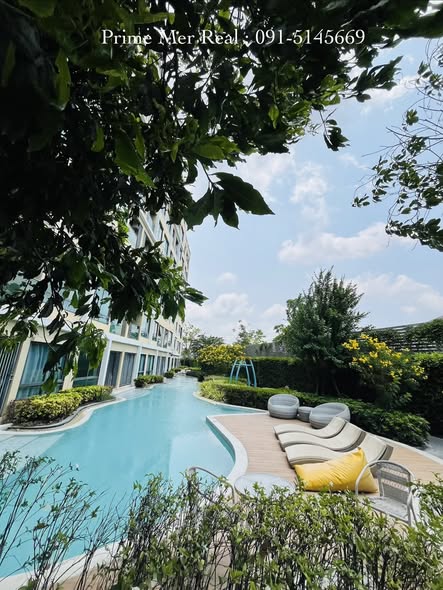 pool of ISSI Condo Suksawat (อิซซี่ คอนโด สุขสวัสดิ์)