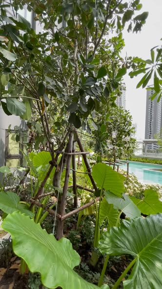 Life Sathorn Sierra ไลฟ์ สาทร เซียร์รา