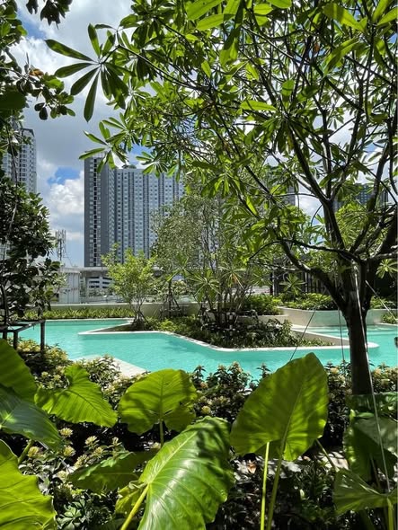 pool of Life Sathorn Sierra ไลฟ์ สาทร เซียร์รา