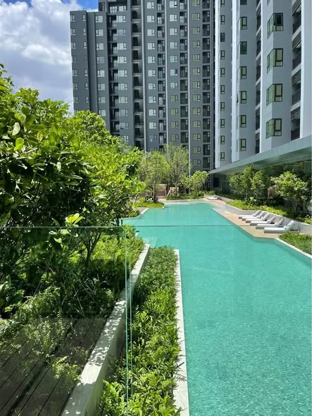 pool of Life Sathorn Sierra ไลฟ์ สาทร เซียร์รา
