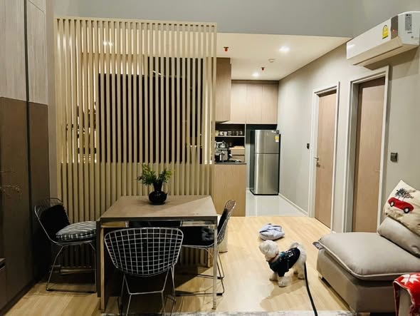living room and room interior and kitchen of M Jatujak