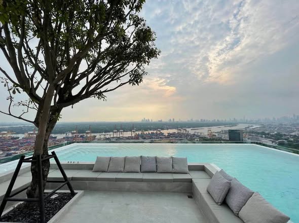 pool of Modiz Sukhumvit 50 โมดิซ สุขุมวิท 50
