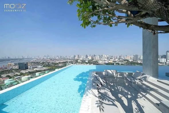 pool of Modiz Sukhumvit 50 โมดิซ สุขุมวิท 50