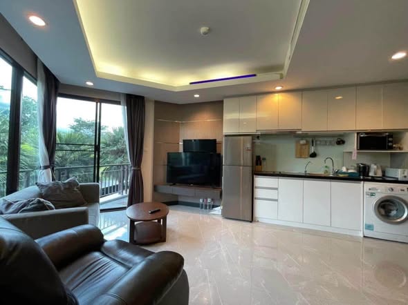 Mountain View Condominium